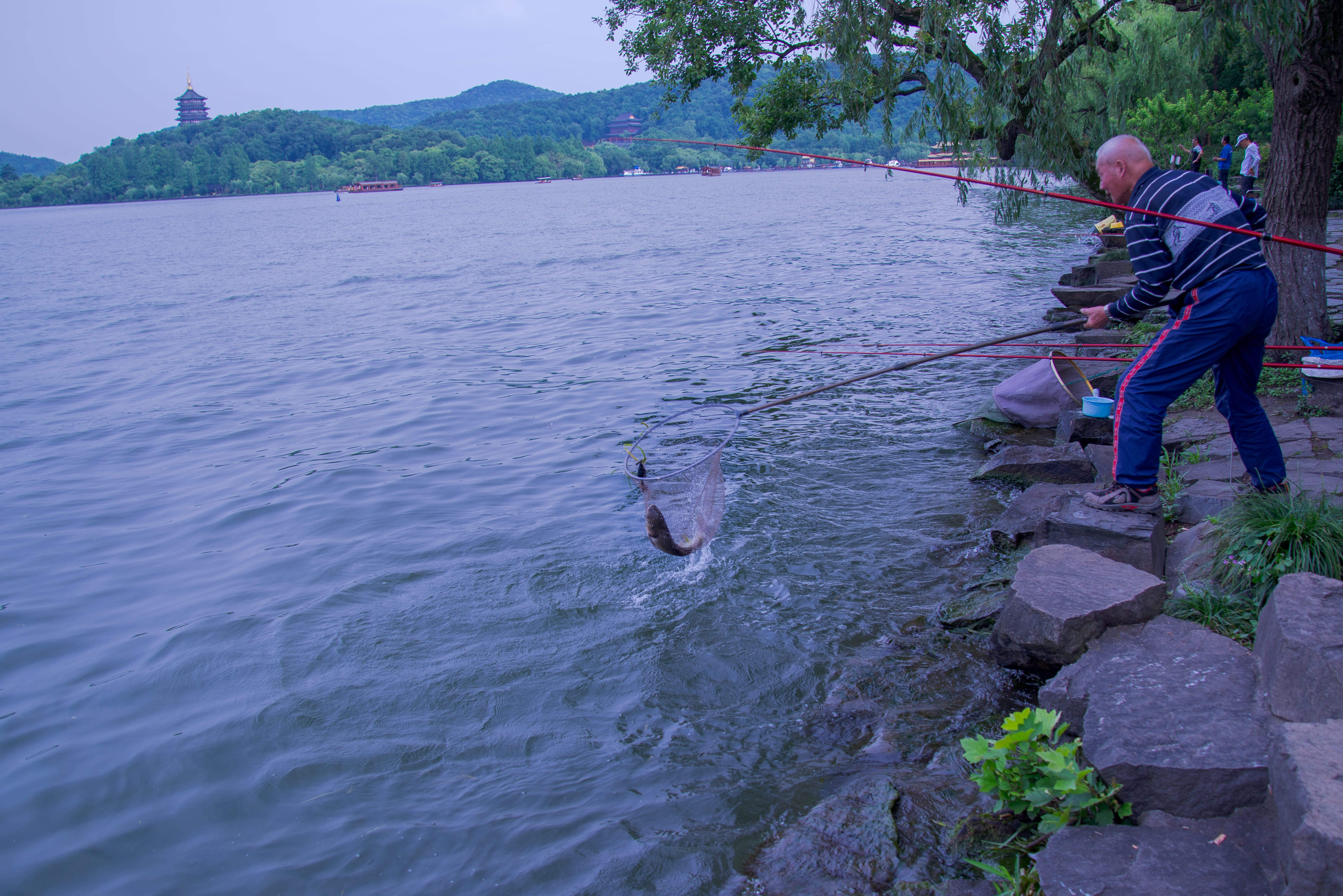 西湖钓鱼